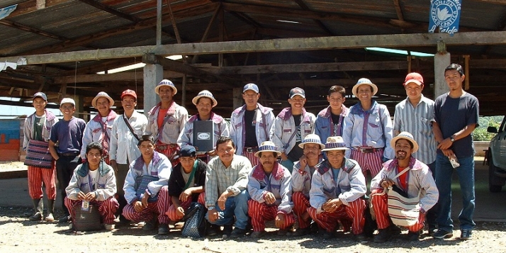 Groupe de Todos Santos - Coopérative Guayab au Guatemala (c) Miel Maya
