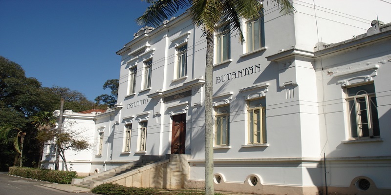Institut Butantan