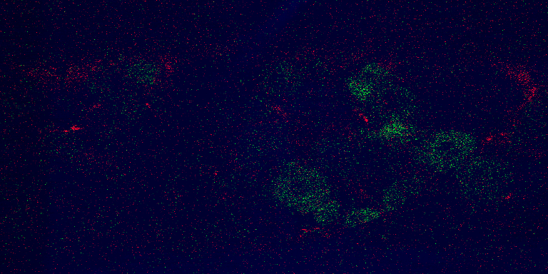 Fluorescence émise par les neurones primaires spécifiques à la douleur, entourant le noyau (rond central noir). © Jonathan Damblon / Université Laval