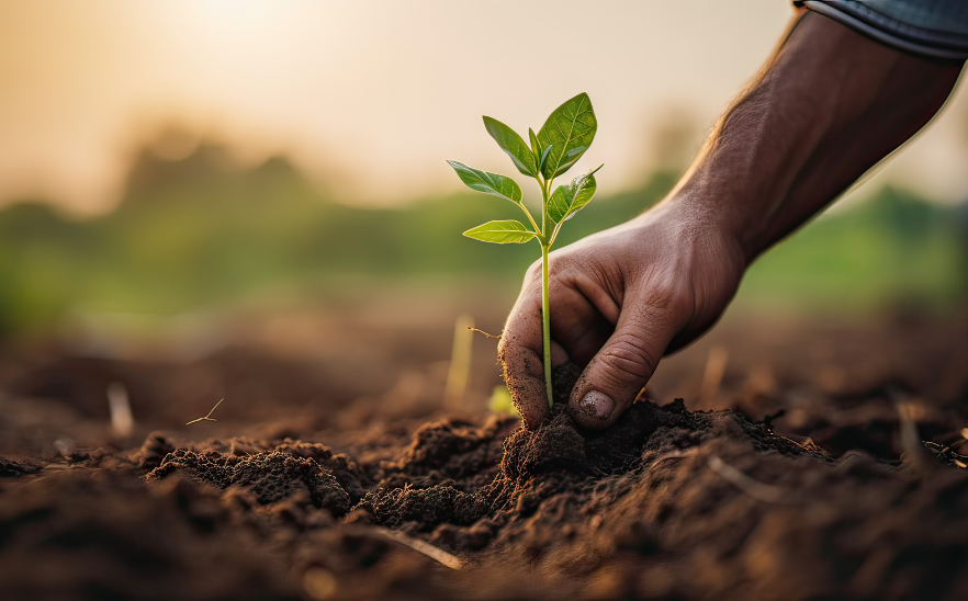 Homme qui met en terre une plante - copyright canva