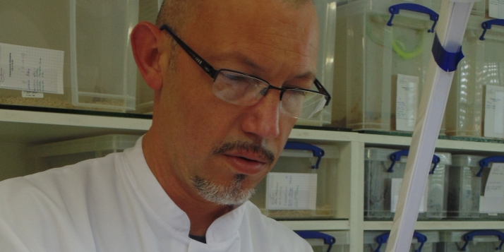 Rudy Fourmy, fondateur d'Alphabiotoxine, en pleine traite de venin sur Vipère du Gabon (Bitis gabonica) – Afrique de l’est (c) C. Vanbellingen – Alphabiotoxine Laboratory.