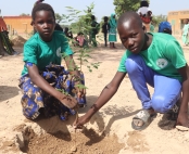 Plantation d'arbres par des enfants au Burkina Faso (Grande Muraille Verte) ©APEFE