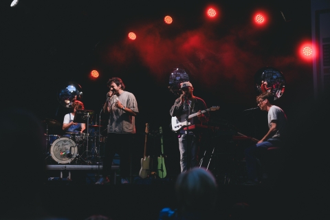 Pale Grey ©J.Van Belle - WBI.be