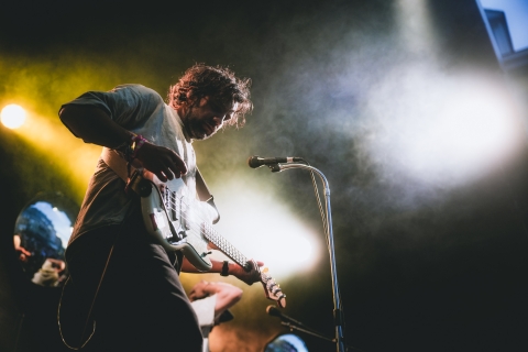 Pale Grey ©J.Van Belle - WBI.be