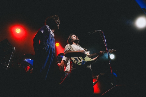 Pale Grey ©J.Van Belle - WBI.be