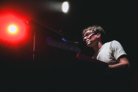 Pale Grey ©J.Van Belle - WBI.be