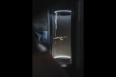 ©️ J. Van Belle - WBI
