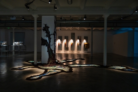 Installation de Charlotte Gautier Van Tour © E. Meunier - WBI