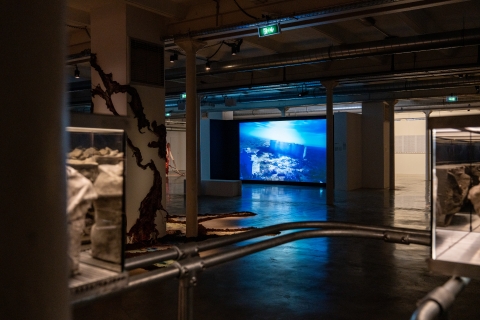 Installation de Emmanuel Van der Auwera © E. Meunier - WBI