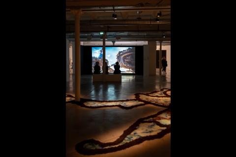 Installation de Emmanuel Van der Auwera © E. Meunier - WBI
