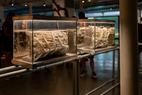 Installation de Eva L’Hoest © E. Meunier - WBI