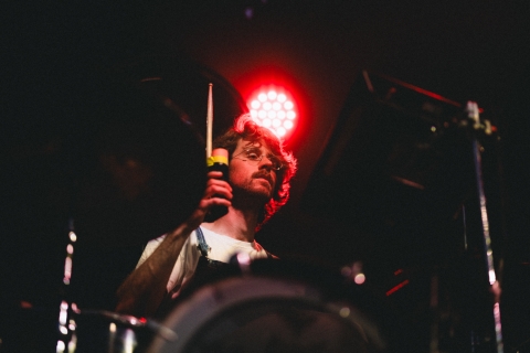 Pale Grey ©J.Van Belle - WBI.be