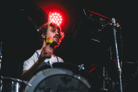 Pale Grey ©J.Van Belle - WBI.be