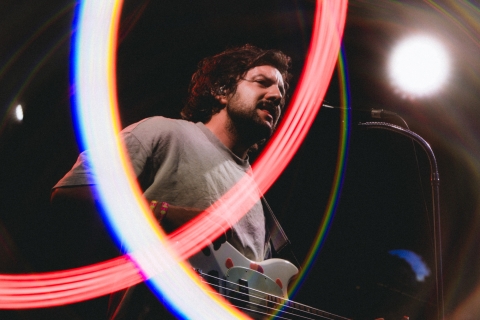 Pale Grey ©J.Van Belle - WBI.be