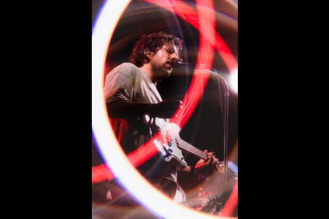 Pale Grey ©J.Van Belle - WBI.be