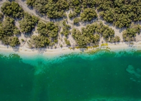 Les mangroves d'Abu Dhabi, île de Reem (c) Abdulrahman Rezki