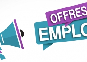 WBI recrute un(e) assistant(e) pour un contrat de remplacement (temps plein)