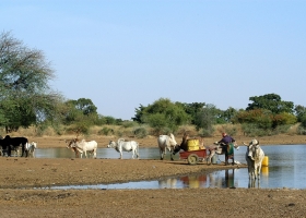  © Fotolia : agriculture