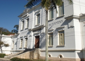 Institut Butantan