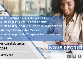 Affiche pour le recrutement de 3 experts 