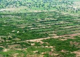 Mise en défens au Burkina Faso © Tiipaalga