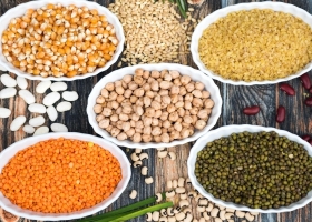 Quelles protéines alternatives privilégier dans notre alimentation ?