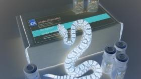 © Alphabiotoxine Laboratory sprl Serpent