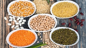 Quelles protéines alternatives privilégier dans notre alimentation ?