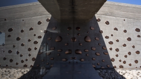 Photo de l'oeuvre "Mushrooms and mould" d'Elodie Antoine (Belgique)