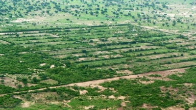 Mise en défens au Burkina Faso © Tiipaalga