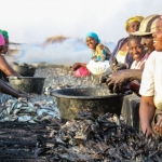 Les femmes de l’halieutique à Joal-Fadiouth