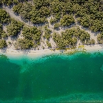 Les mangroves d'Abu Dhabi, île de Reem (c) Abdulrahman Rezki