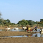  © Fotolia : agriculture