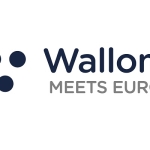 logo Walmeet.eu