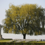 Cimetière de Comines-Warneton ©SPW/Guy Focant