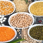 Quelles protéines alternatives privilégier dans notre alimentation ? Quelles protéines alternatives privilégier dans notre alimentation ?
