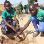 Plantation d'arbres par des enfants au Burkina Faso (Grande Muraille Verte) ©APEFE